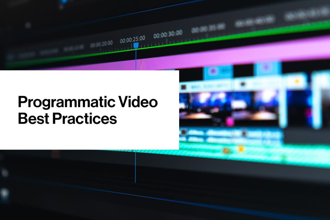 A Quick Guide to Programmatic Video Ads - AUDIENCEX