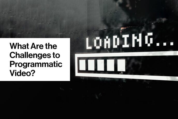 A Quick Guide to Programmatic Video Ads - AUDIENCEX